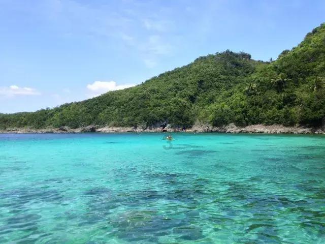沪江开心词场