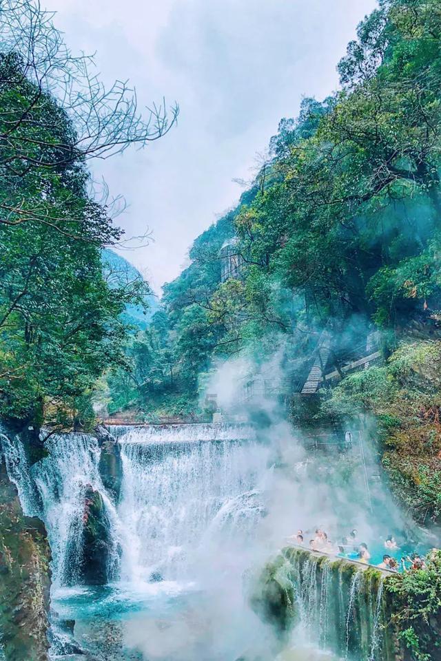 春雨直播app