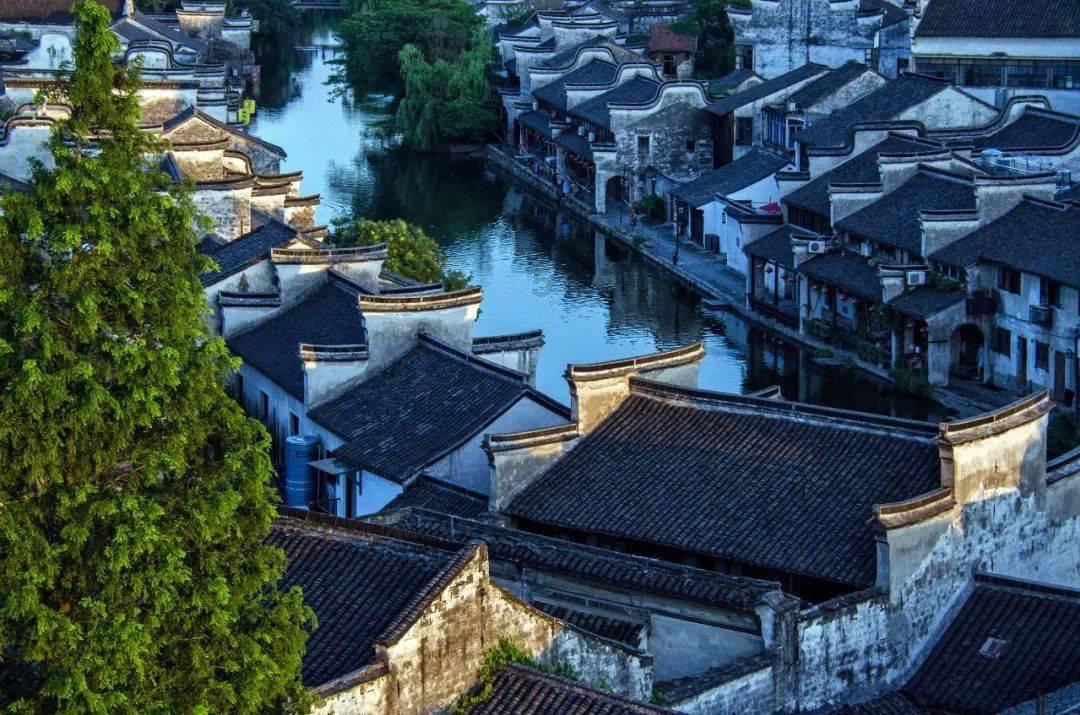 动物帮帮忙保卫家园